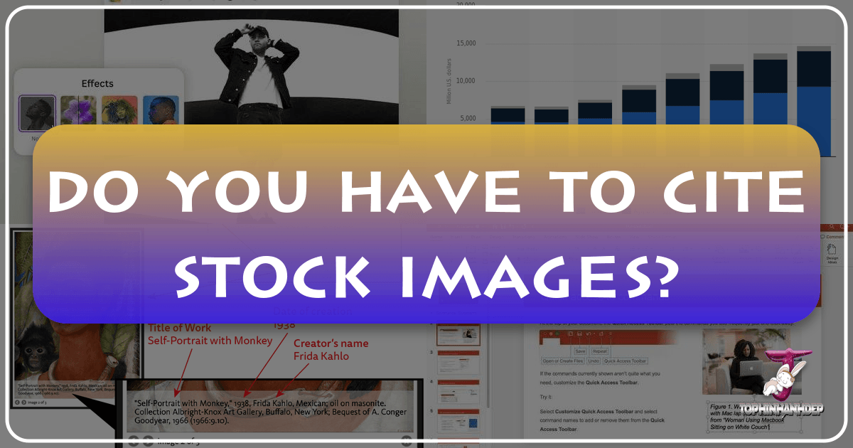 /images/do-you-have-to-cite-stock-images.png