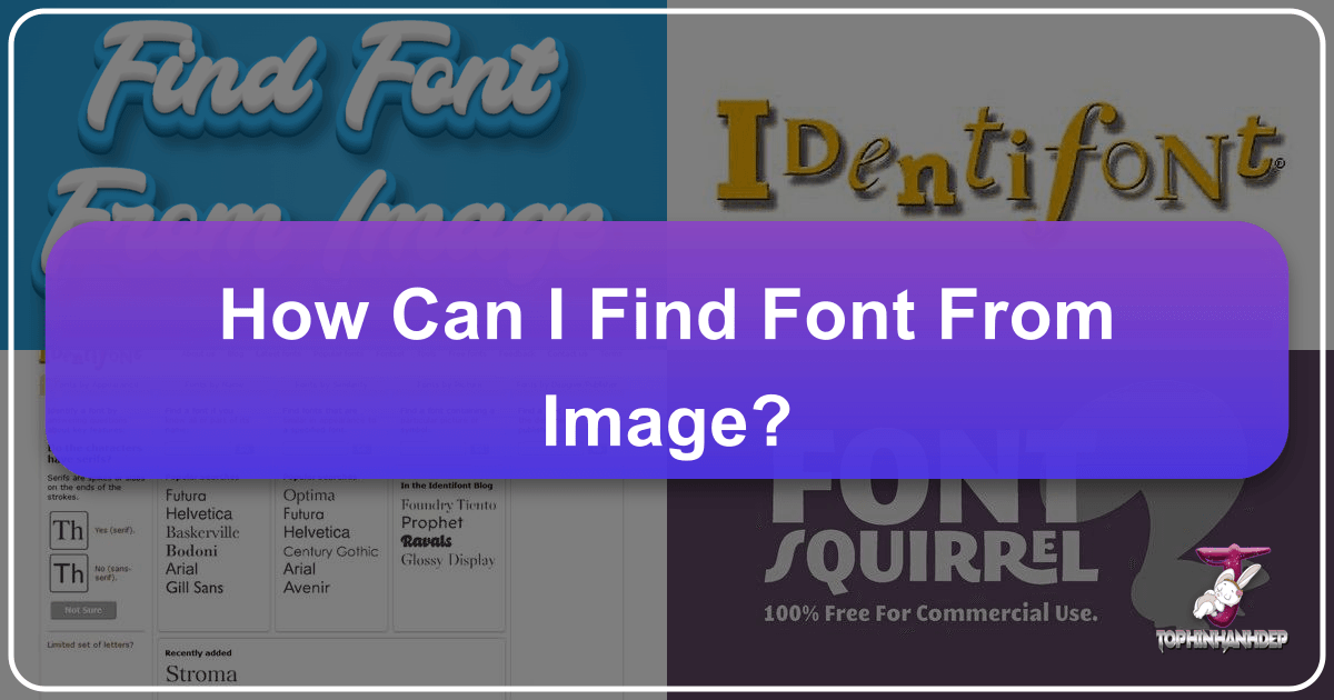 /images/how-can-i-find-font-from-image.png
