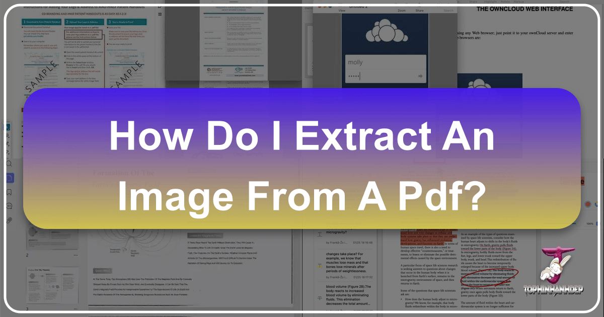 /images/how-do-i-extract-an-image-from-a-pdf.png