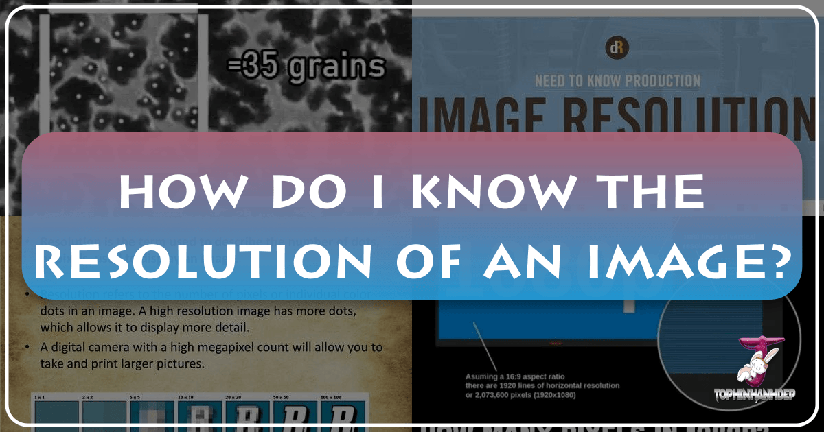 Understanding and checking image resolution for quality and intended use on Windows and Mac. /images/how-do-i-know-the-resolution-of-an-image.png