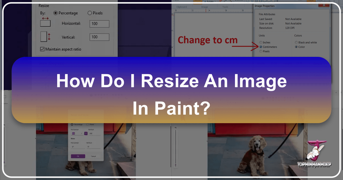 /images/how-do-i-resize-an-image-in-paint.png