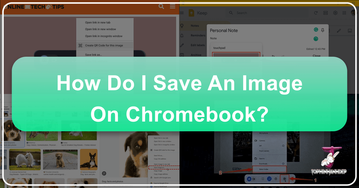 Saving images on Chromebook made easy with step-by-step guides and expert tips from Tophinhanhdep.com. /images/how-do-i-save-an-image-on-chromebook.png