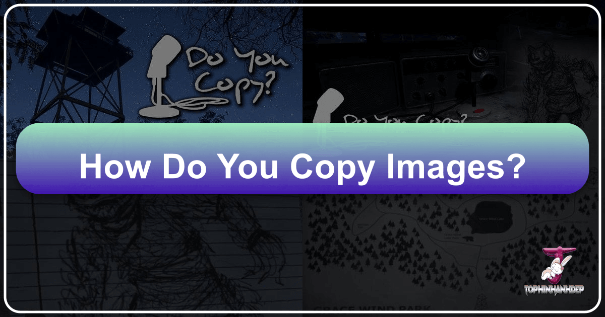 /images/how-do-you-copy-images.png