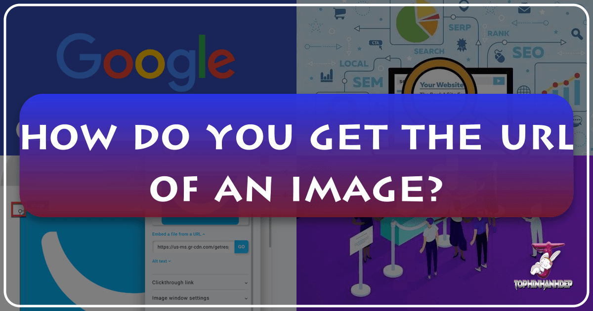 /images/how-do-you-get-the-url-of-an-image.png