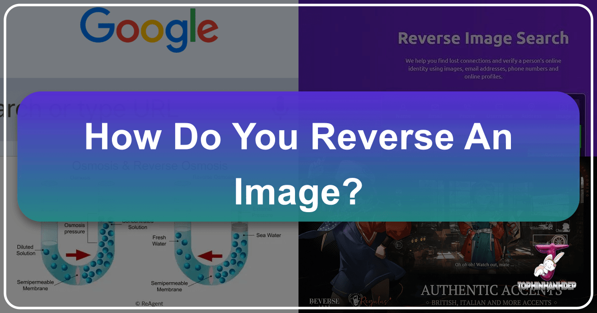 /images/how-do-you-reverse-an-image.png