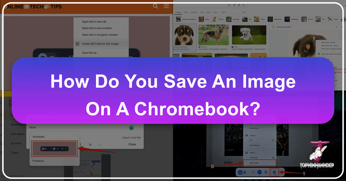 Save images on Chromebook with ease using various direct methods and tools from Tophinhanhdep.com. /images/how-do-you-save-an-image-on-a-chromebook.png