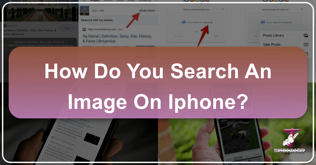 /images/how-do-you-search-an-image-on-iphone.png