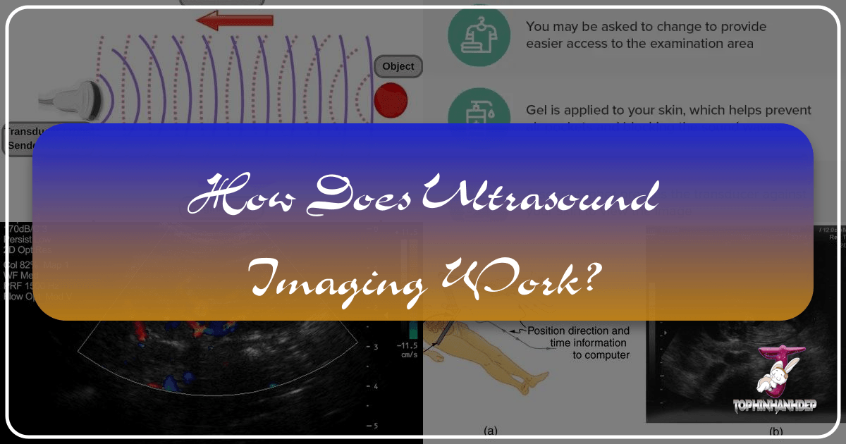 Ultrasound imaging transforms sound waves into real-time visual information, revealing the body's internal structures and dynamics. /images/how-does-ultrasound-imaging-work.png