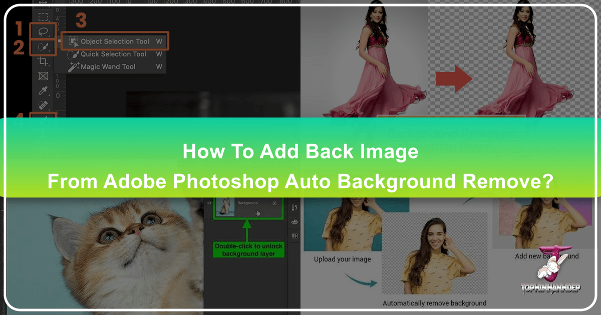 /images/how-to-add-back-image-from-adobe-photoshop-auto-background-remove.png