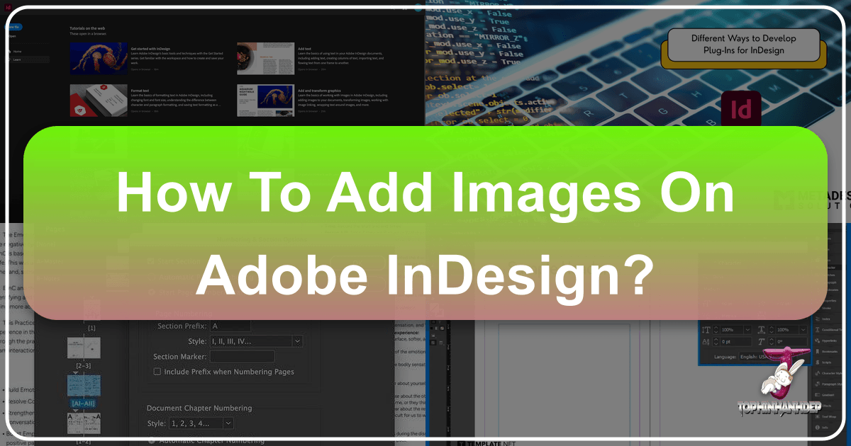 Mastering image integration in Adobe InDesign for professional publications and designs. /images/how-to-add-images-on-adobe-indesign.png