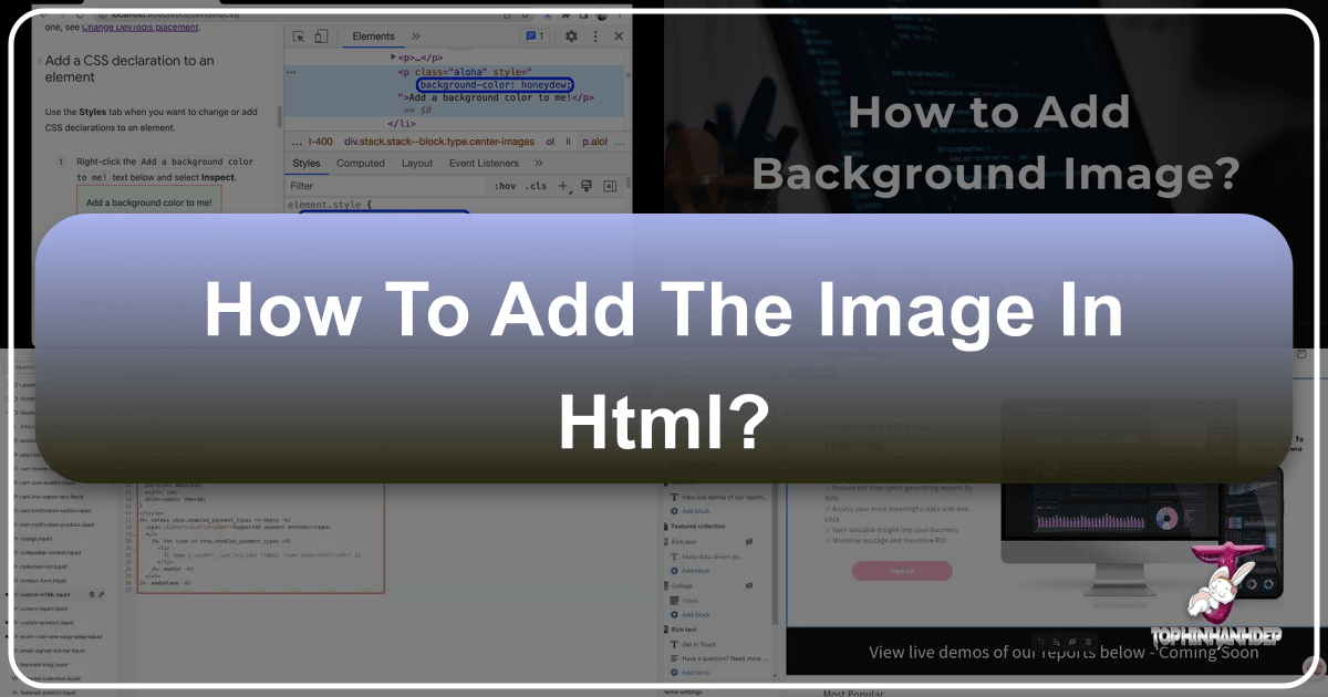 A Comprehensive Guide to Adding Images in HTML for Enhanced Visual Content on Tophinhanhdep.com Successfully. /images/how-to-add-the-image-in-html.png
