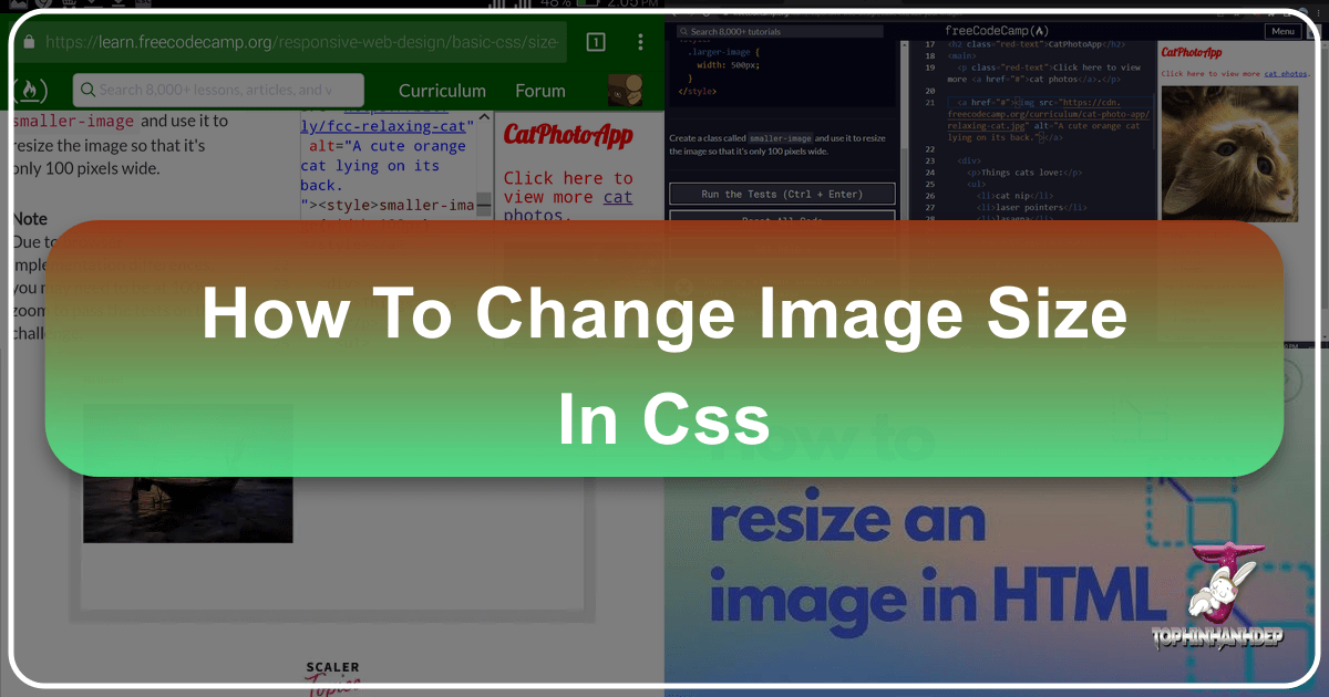/images/how-to-change-image-size-in-css.png /images/how-to-change-image-size-in-css.png
