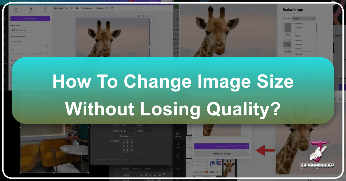 /images/how-to-change-image-size-without-losing-quality.png