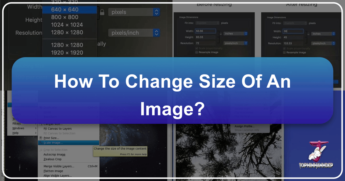 /images/how-to-change-size-of-an-image.png