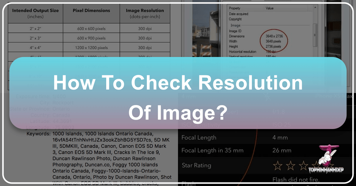 Understanding image resolution for perfect prints and digital displays with simple steps. /images/how-to-check-resolution-of-image.png