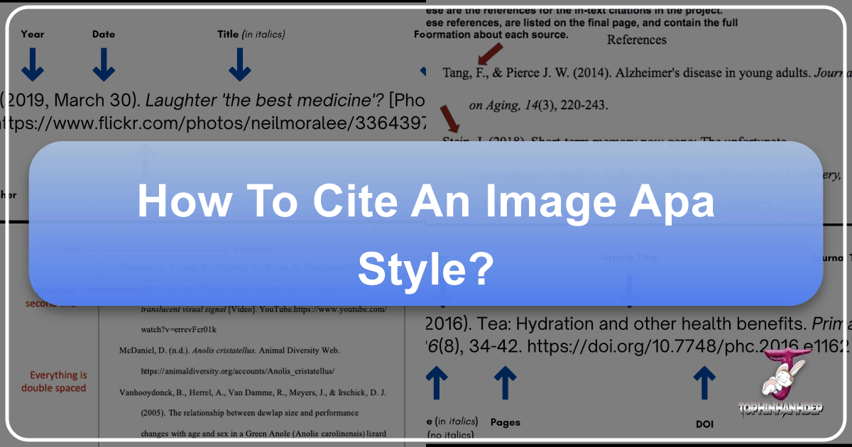 Guide to citing images in APA style for academic and creative works with proper attribution and integrity. /images/how-to-cite-an-image-apa-style.png