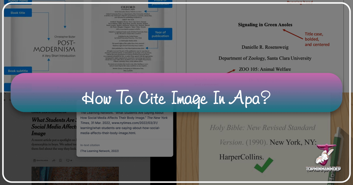 /images/how-to-cite-image-in-apa.png