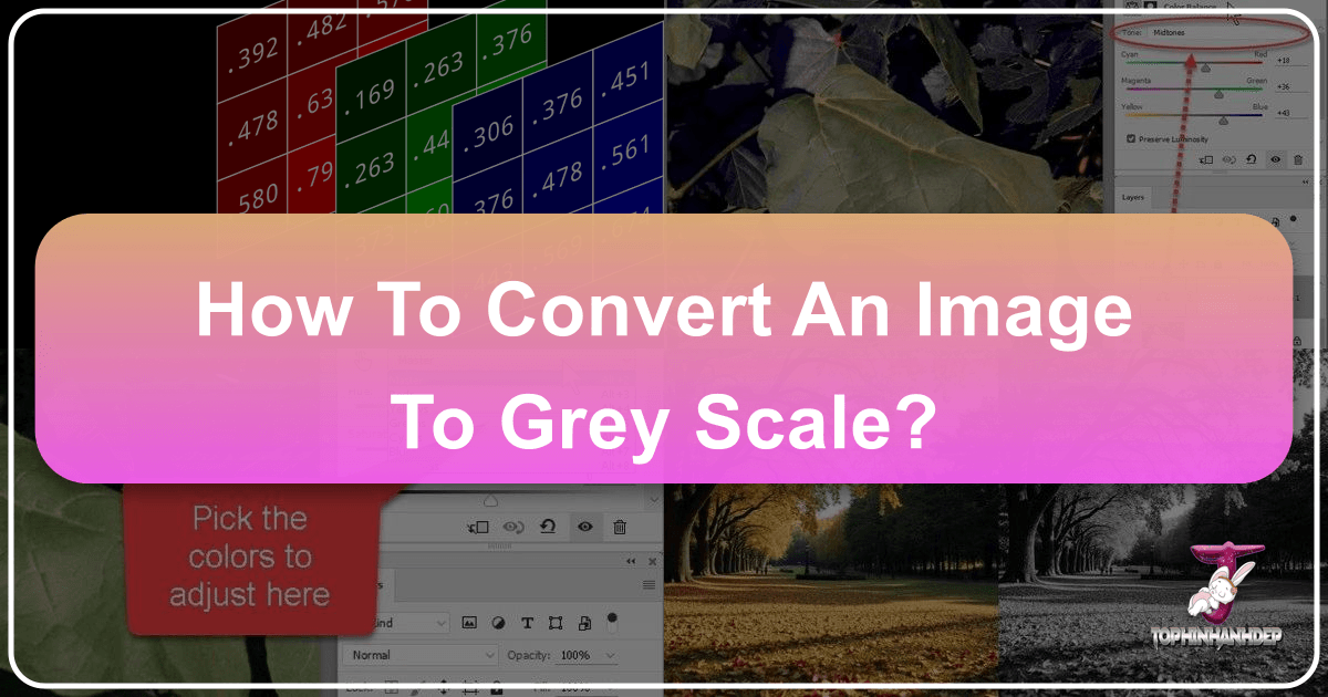 /images/how-to-convert-an-image-to-grey-scale.png