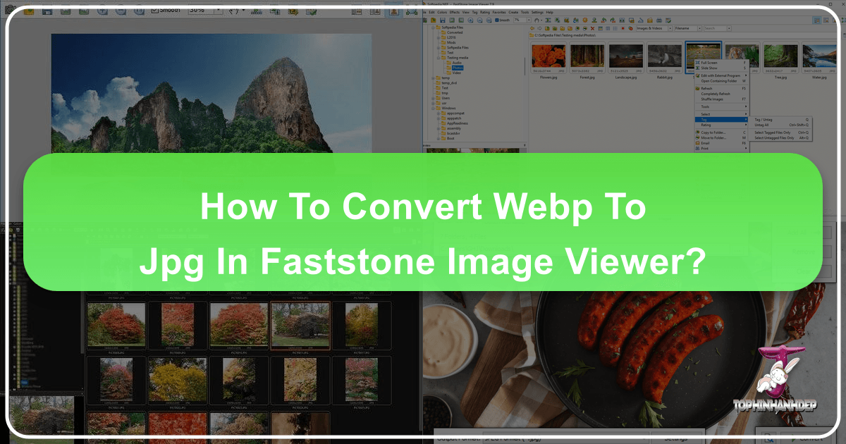 /images/how-to-convert-webp-to-jpg-in-faststone-image-viewer.png