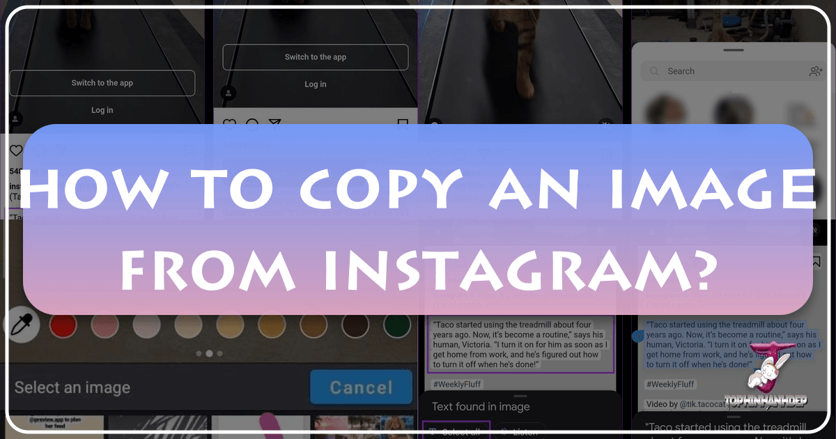/images/how-to-copy-an-image-from-instagram.png