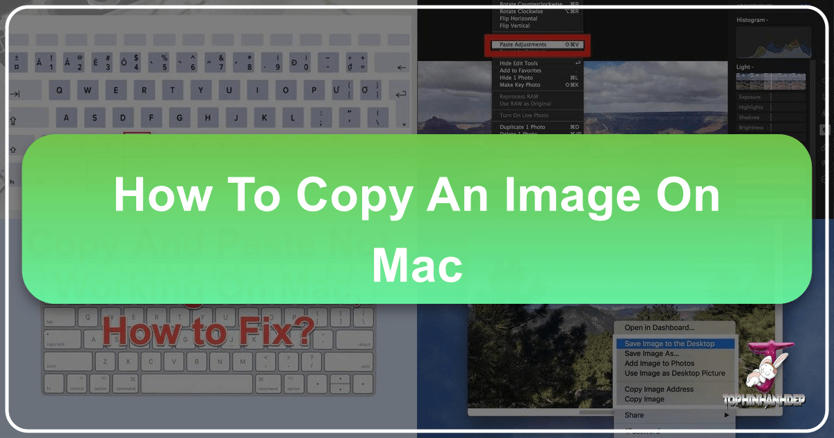 Mastering image copying on Mac for efficient content management and creative workflows with Tophinhanhdep.com. /images/how-to-copy-an-image-on-mac.png