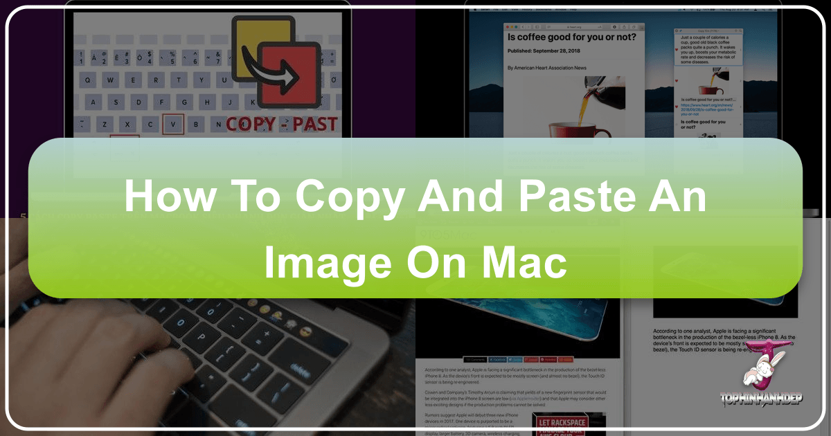/images/how-to-copy-and-paste-an-image-on-mac.png /images/how-to-copy-and-paste-an-image-on-mac.png