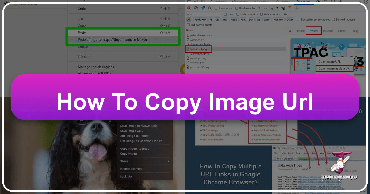 /images/how-to-copy-image-url.png