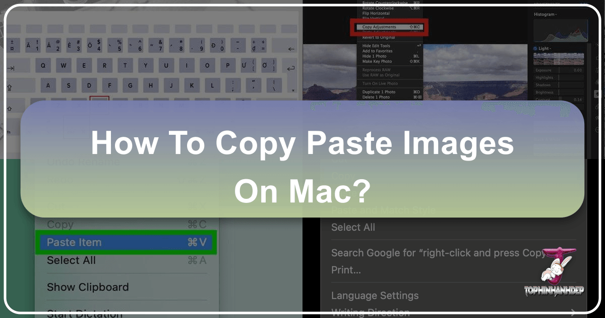 /images/how-to-copy-paste-images-on-mac.png