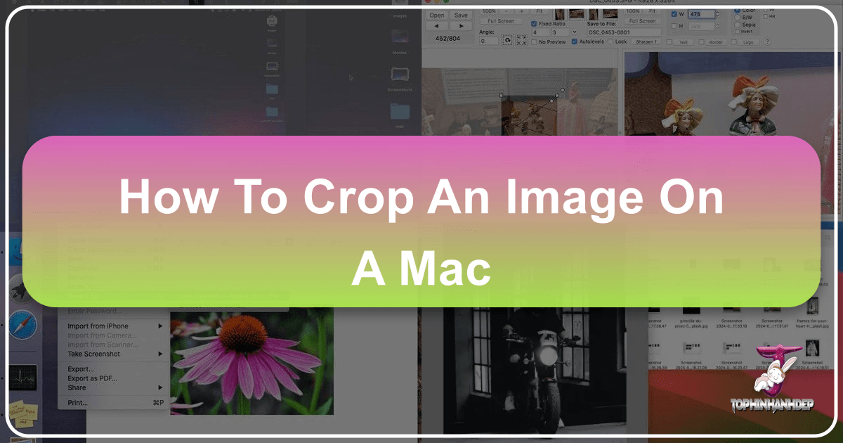 /images/how-to-crop-an-image-on-a-mac.png /images/how-to-crop-an-image-on-a-mac.png