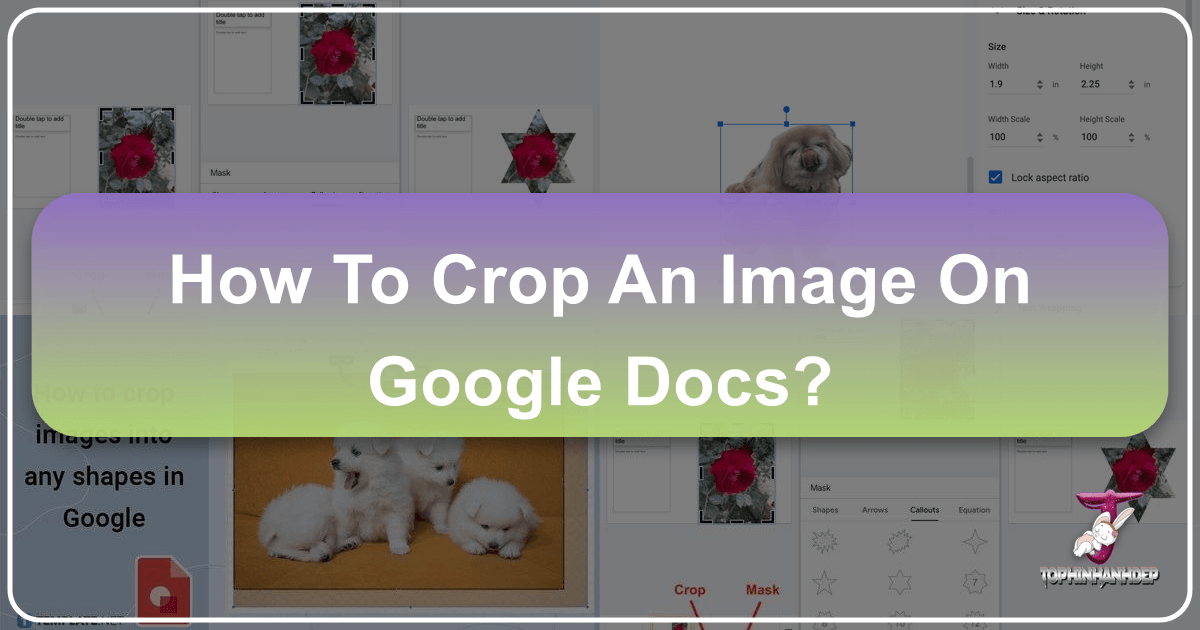 /images/how-to-crop-an-image-on-google-docs.png /images/how-to-crop-an-image-on-google-docs.png