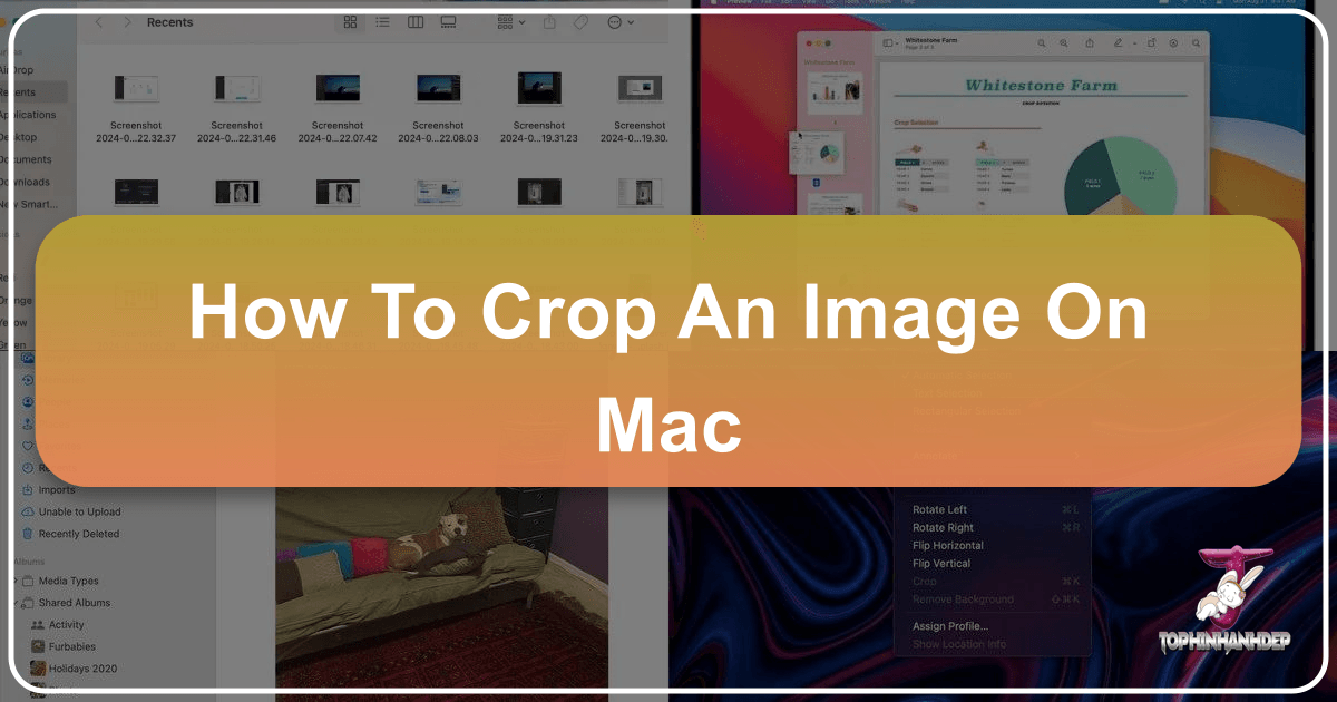 Mastering image cropping on Mac with native tools and advanced online platforms for enhanced visuals. /images/how-to-crop-an-image-on-mac.png