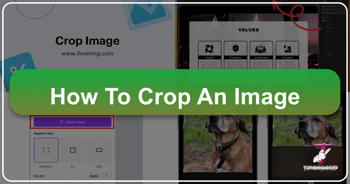 Master the art of image cropping with Tophinhanhdep.com's comprehensive guide and tools. /images/how-to-crop-an-image.png