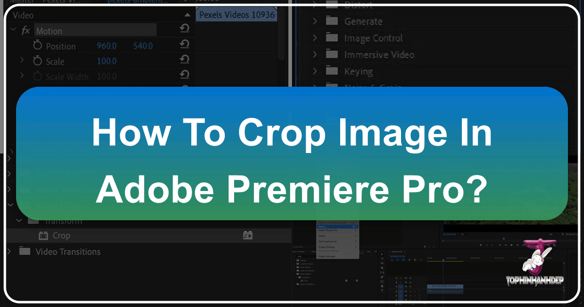 /images/how-to-crop-image-in-adobe-premiere-pro.png