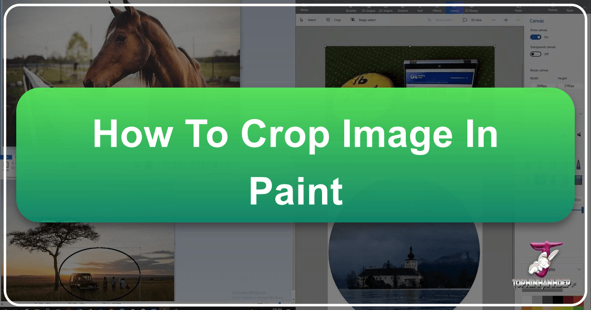 /images/how-to-crop-image-in-paint.png