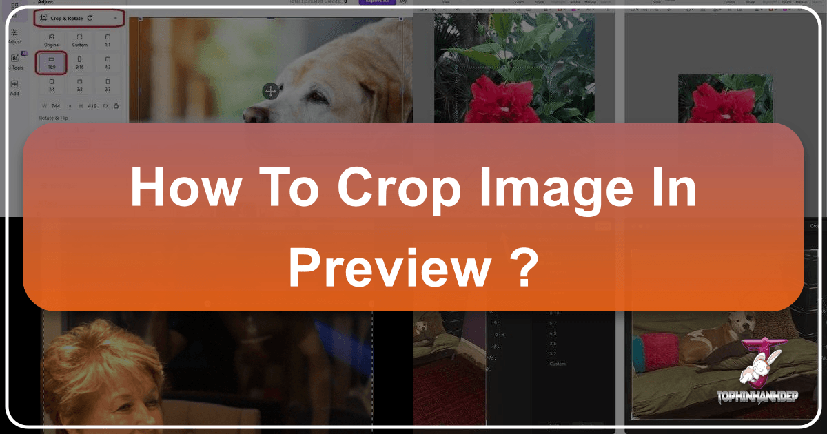 /images/how-to-crop-image-in-preview.png /images/how-to-crop-image-in-preview.png