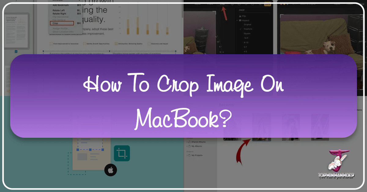 /images/how-to-crop-image-on-macbook.png
