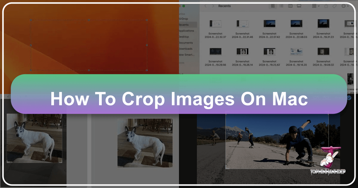 /images/how-to-crop-images-on-mac.png