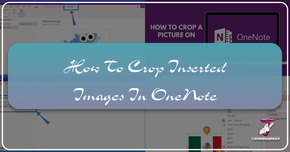 Mastering image cropping in OneNote for enhanced visual notes and productivity. /images/how-to-crop-inserted-images-in-onenote.png