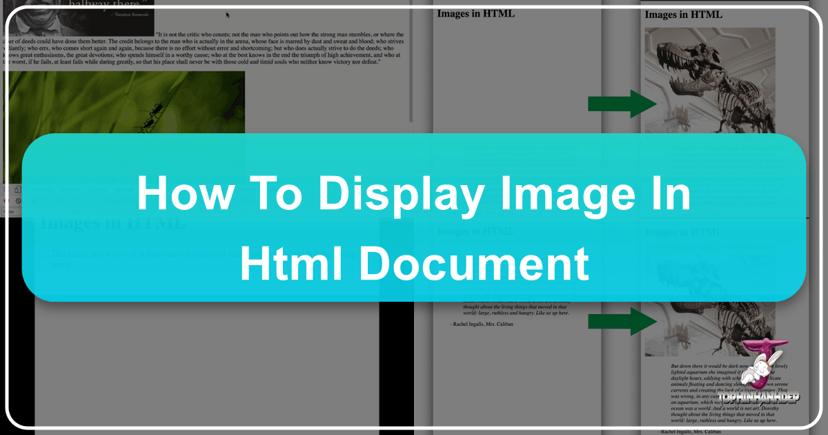 /images/how-to-display-image-in-html-document.png