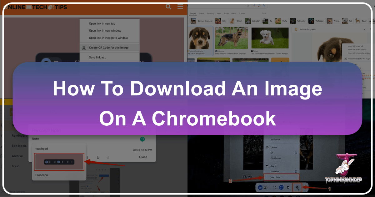 /images/how-to-download-an-image-on-a-chromebook.png