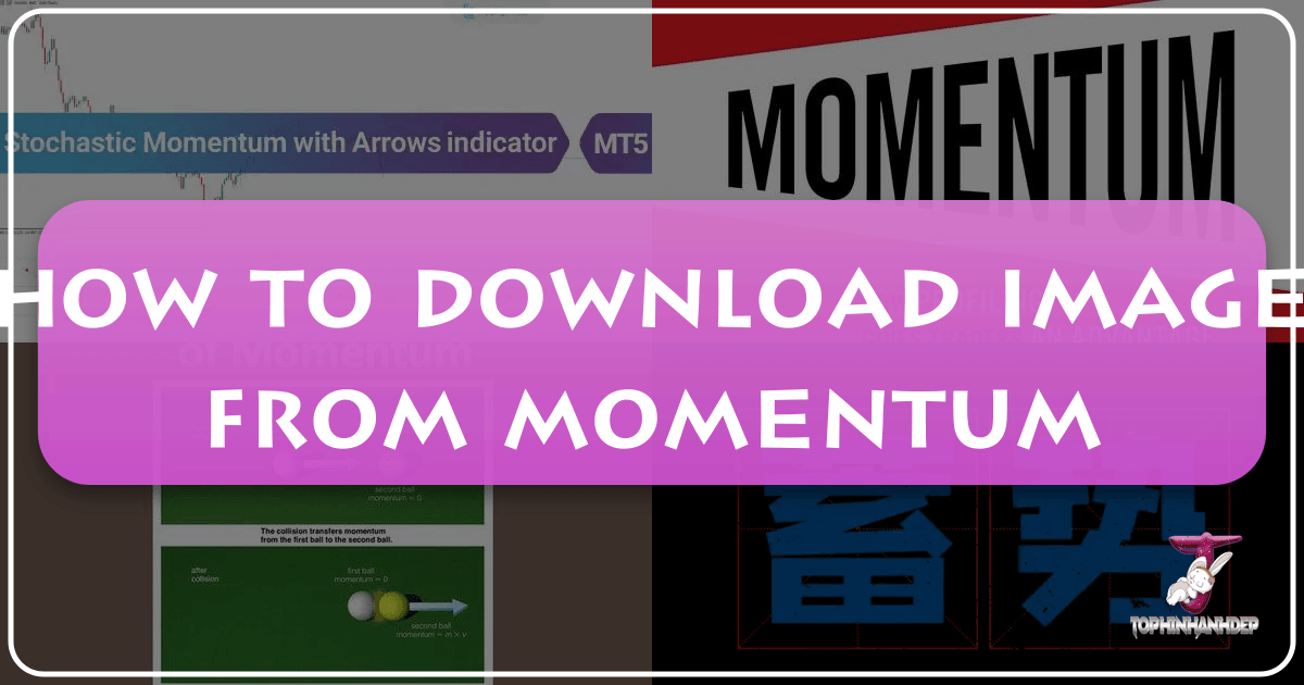 /images/how-to-download-image-from-momentum.png
