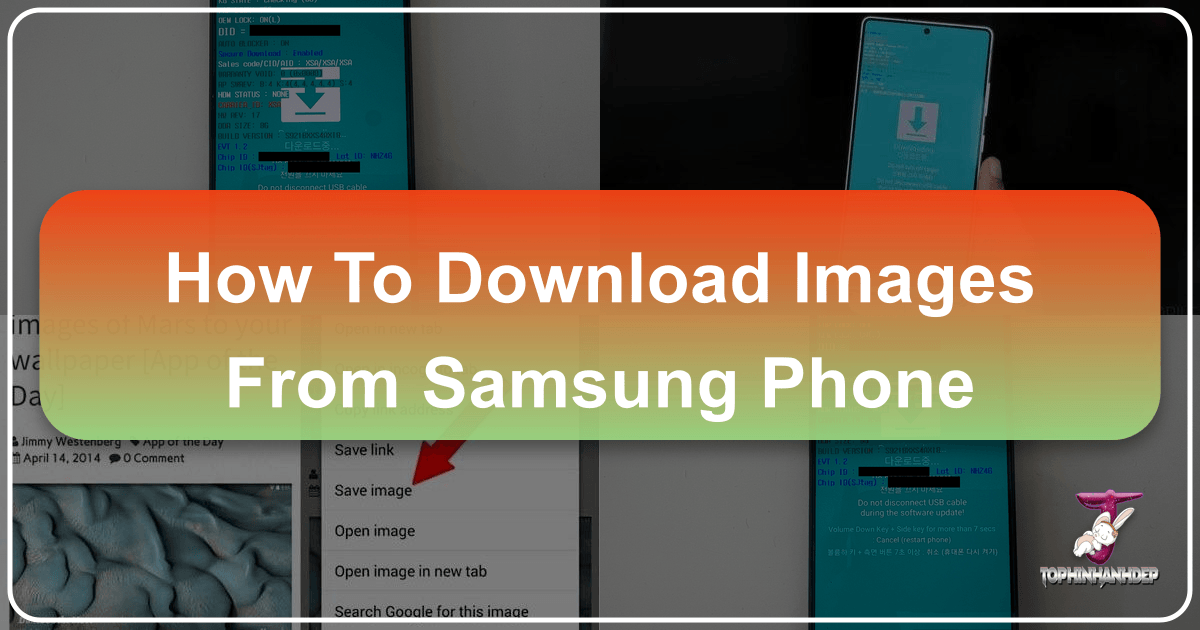 /images/how-to-download-images-from-samsung-phone.png
