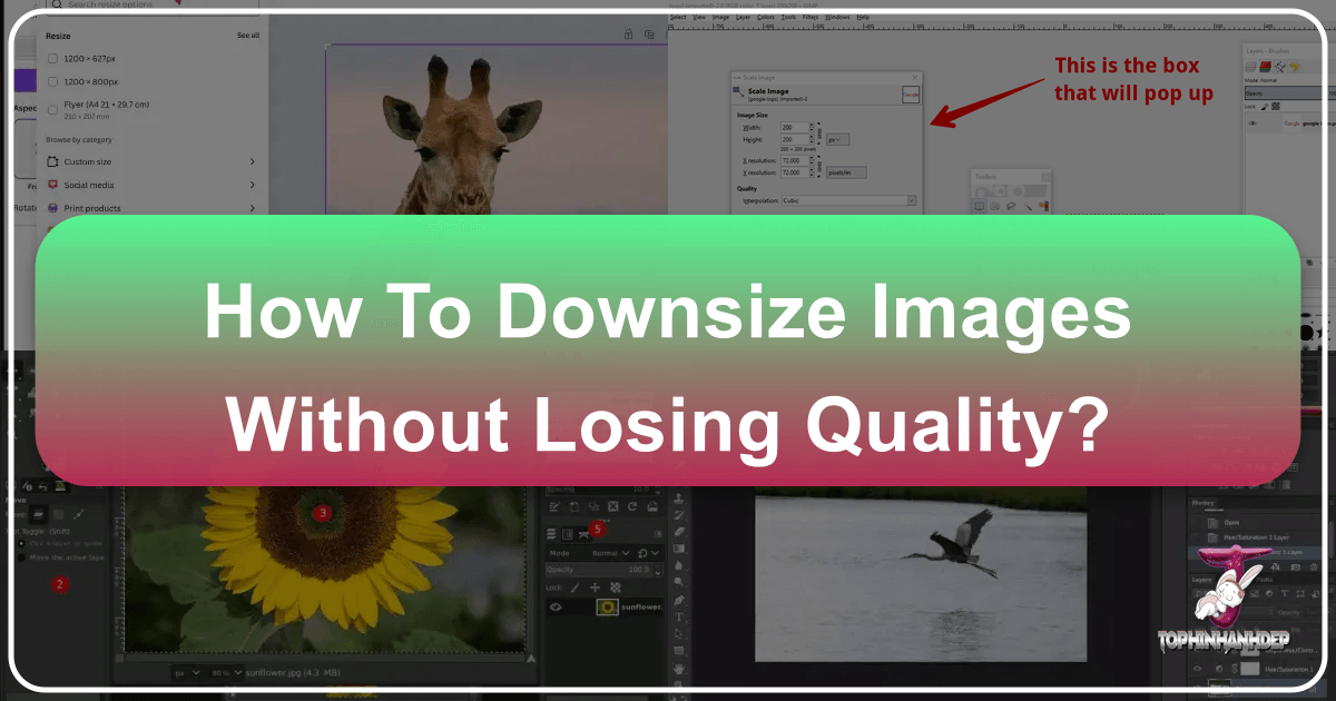 /images/how-to-downsize-images-without-losing-quality.png /images/how-to-downsize-images-without-losing-quality.png