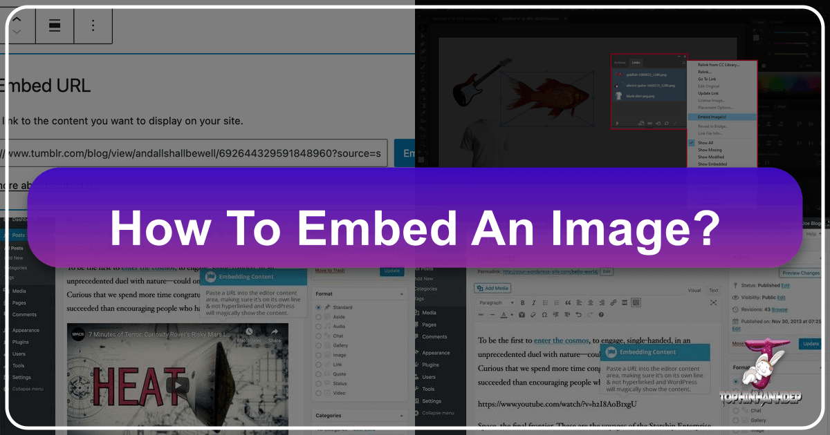 /images/how-to-embed-an-image.png