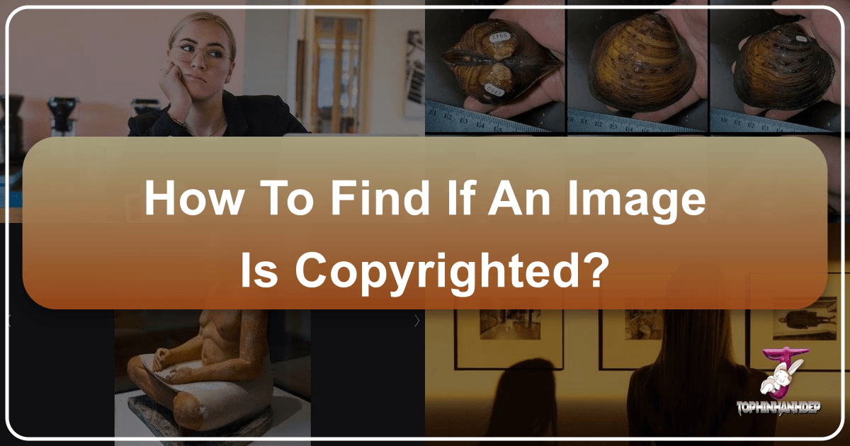/images/how-to-find-if-an-image-is-copyrighted.png /images/how-to-find-if-an-image-is-copyrighted.png