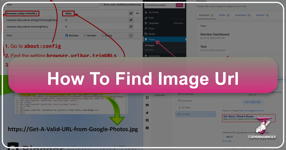 /images/how-to-find-image-url.png