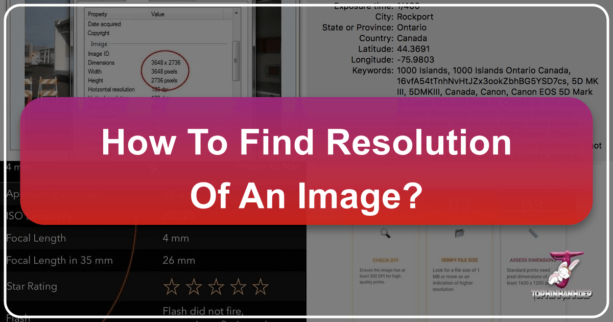 /images/how-to-find-resolution-of-an-image.png /images/how-to-find-resolution-of-an-image.png