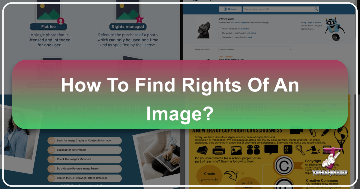 /images/how-to-find-rights-of-an-image.png