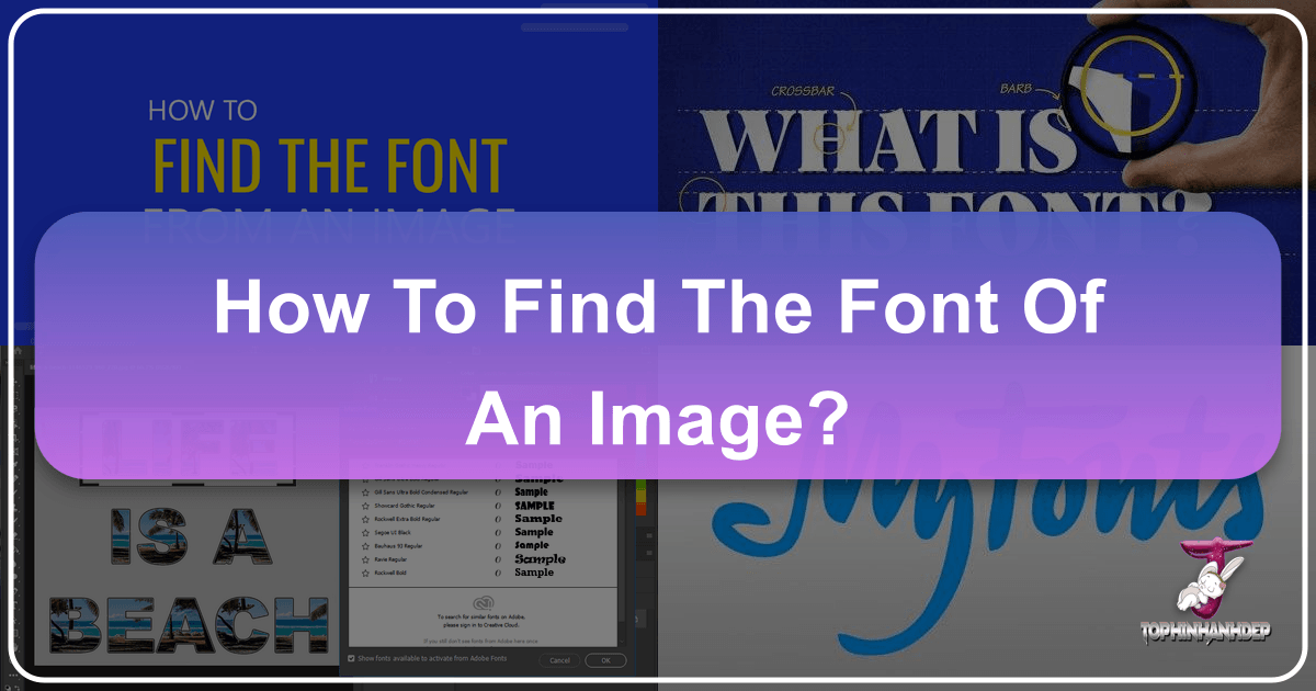 /images/how-to-find-the-font-of-an-image.png