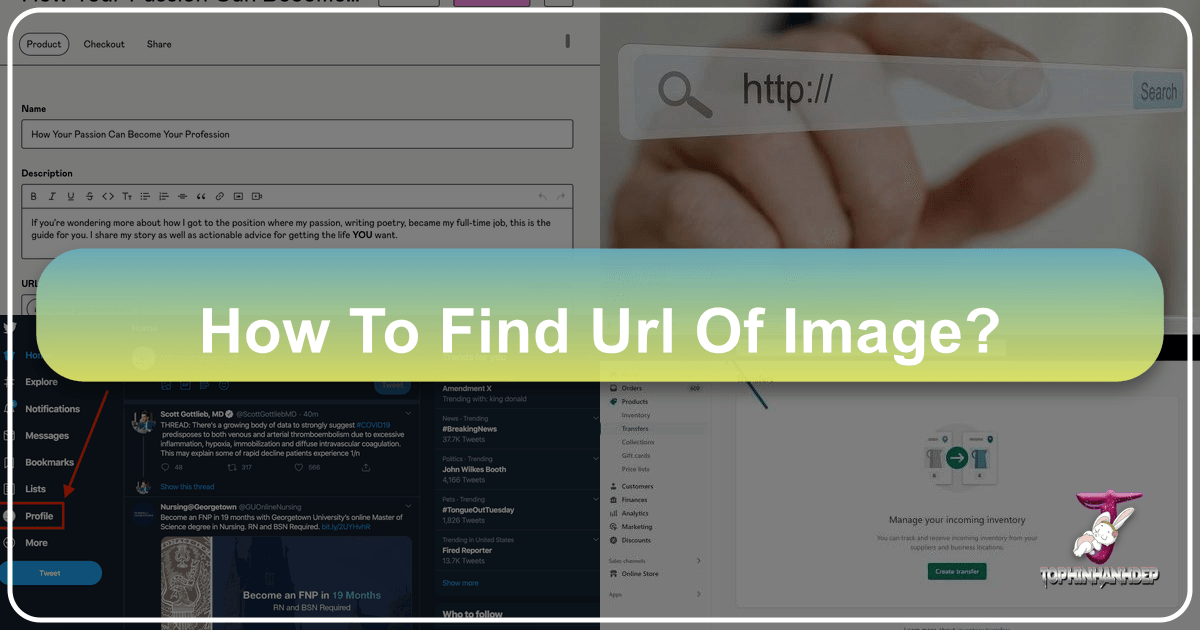 /images/how-to-find-url-of-image.png /images/how-to-find-url-of-image.png